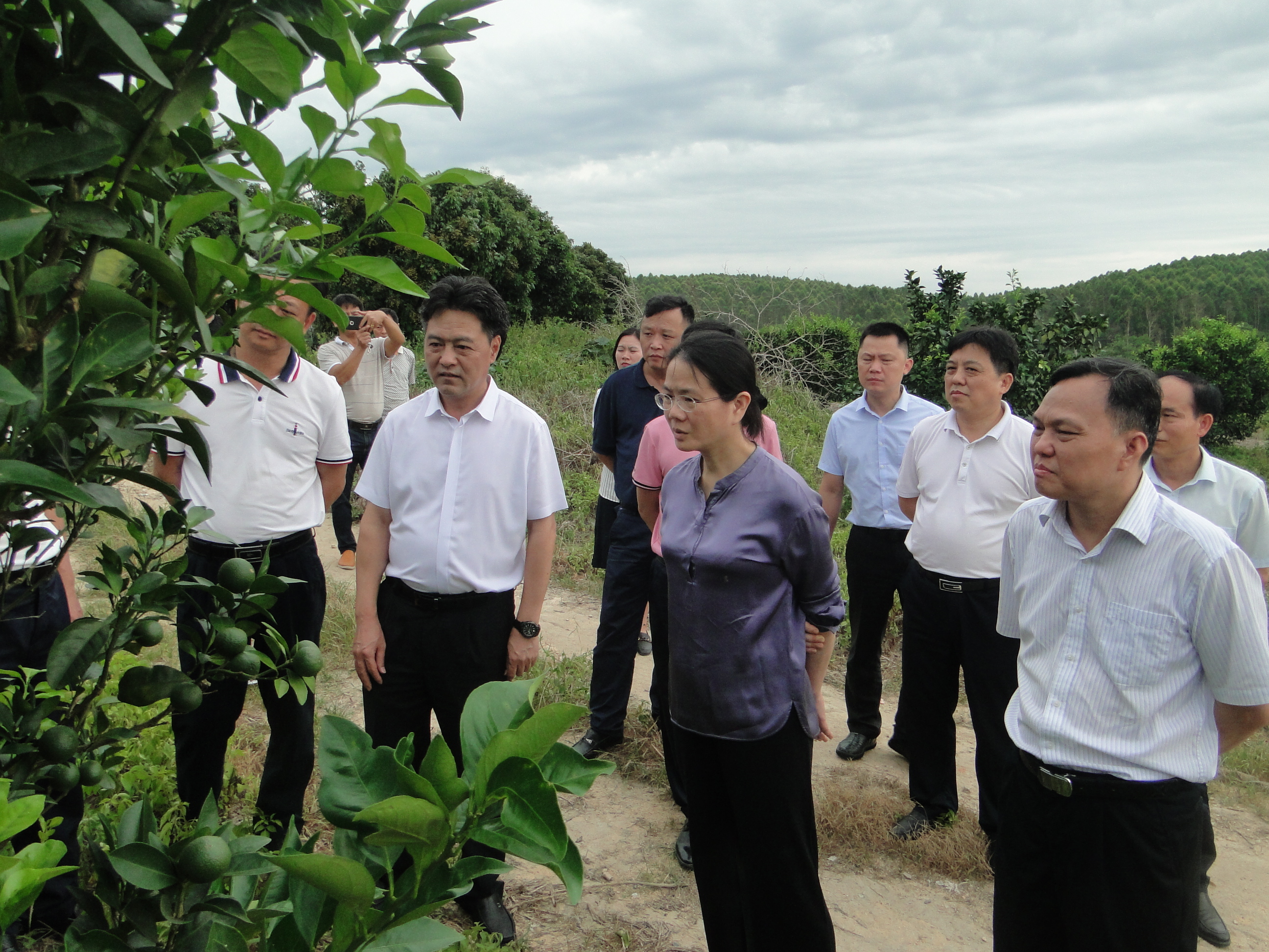 调研组一行在廉江湛青专业社红橙种植园.JPG