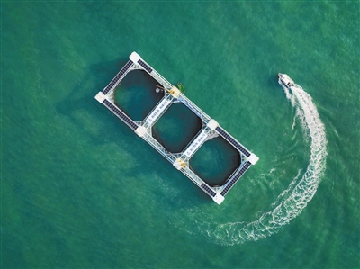 湛江2.jpg