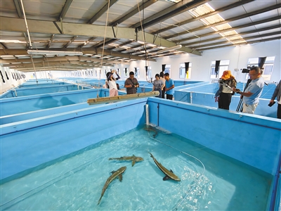 湛江3.jpg