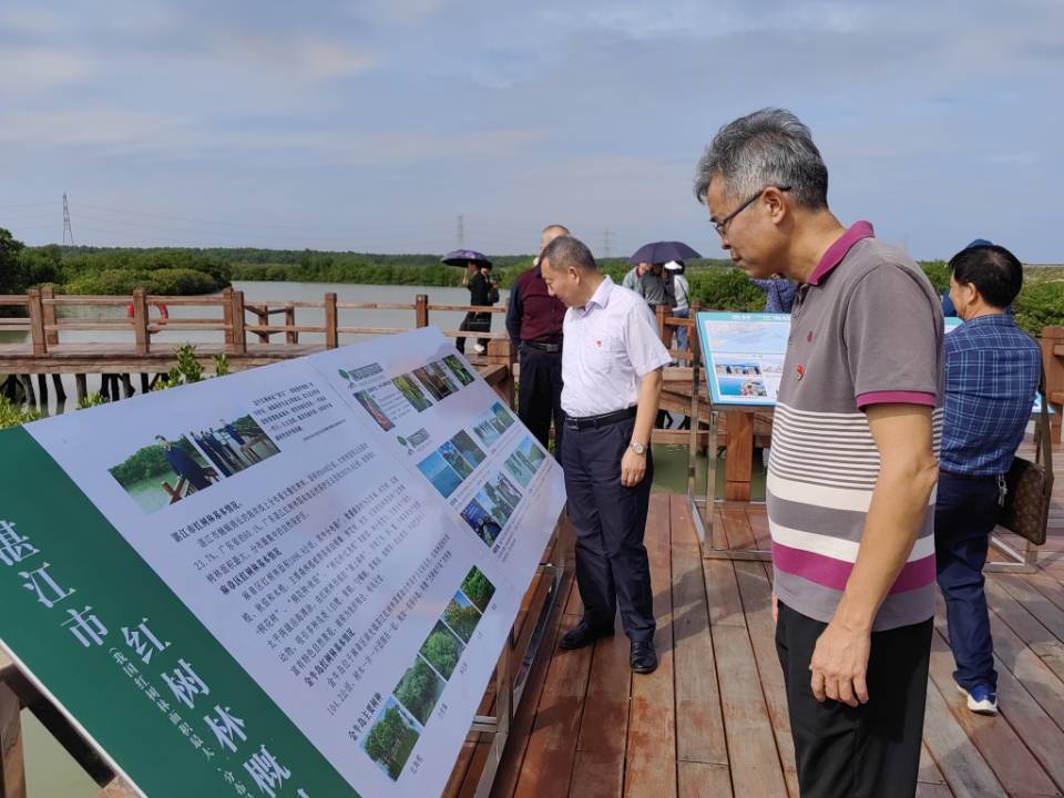 2026世界杯投注地方志办公室开展“沿着总书记的足迹”暨“守护红树林，共建绿美湛江”主题党日活动